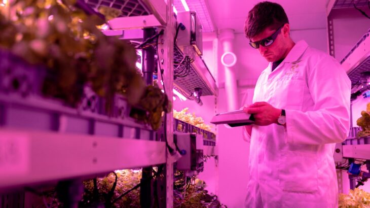 Researcher using an e-lab notebook to record data Photo by ThisIsEngineering: https://www.pexels.com/photo/scientist-checking-crops-in-laboratory-3912509/